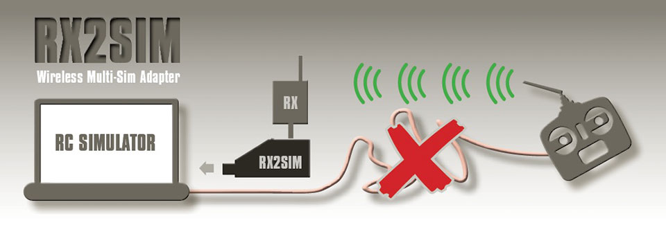rx2sim1.jpg